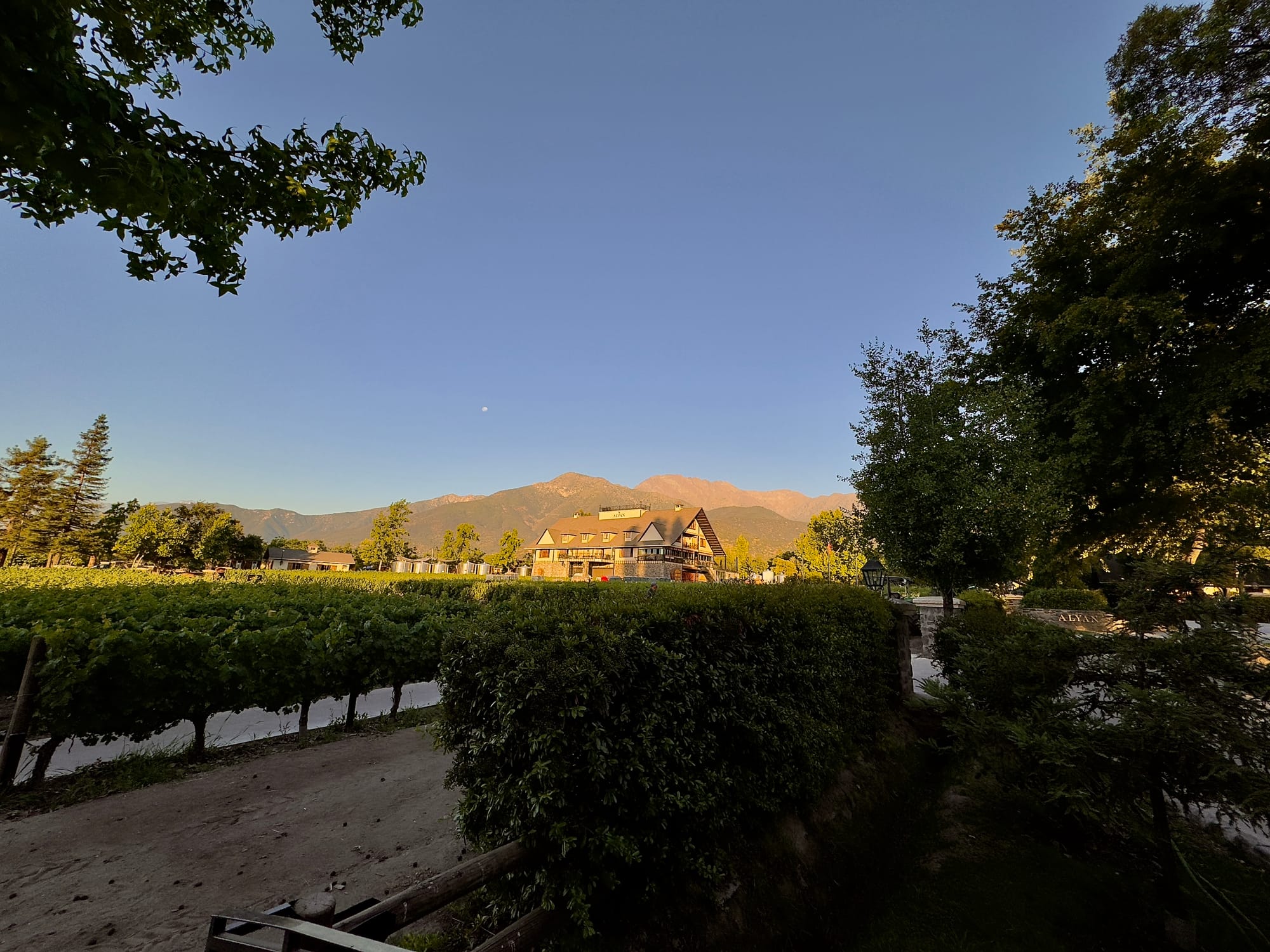 Winery Time at Alyan Family ( Chile)