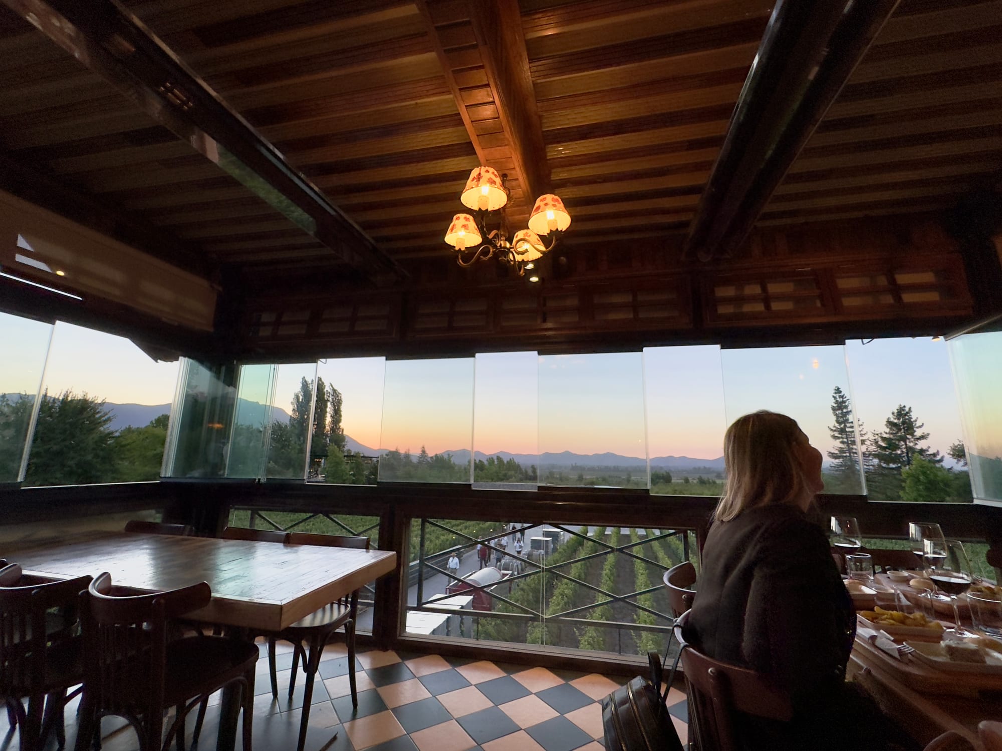 Winery Time at Alyan Family ( Chile)